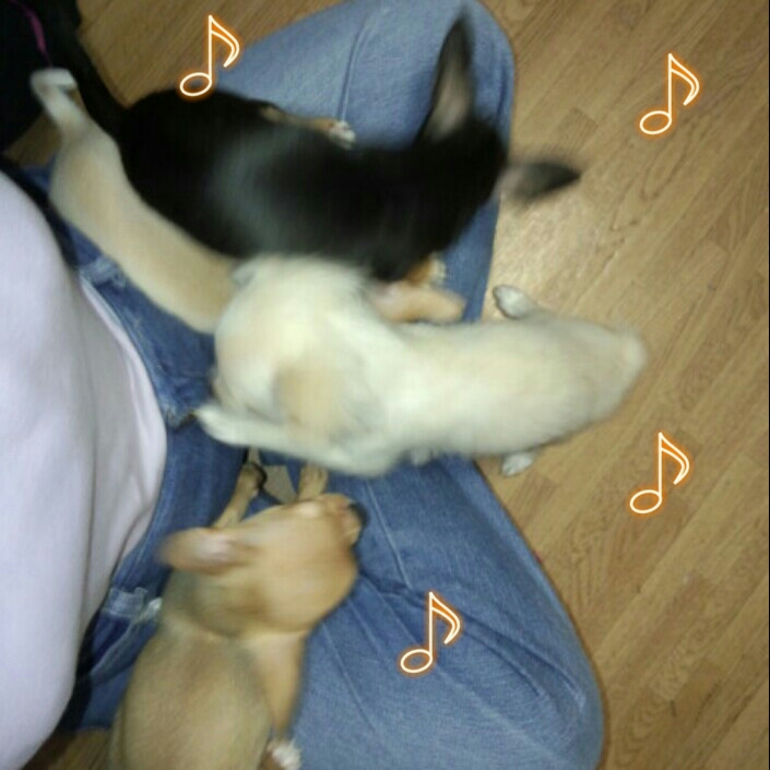 2012-08-16_18.48.39.jpg