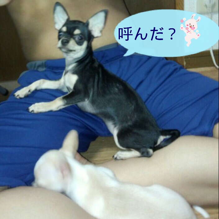2012-08-16_18.53.02.jpg