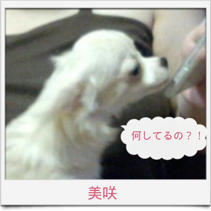 2012-10-25_01.19.31.jpg