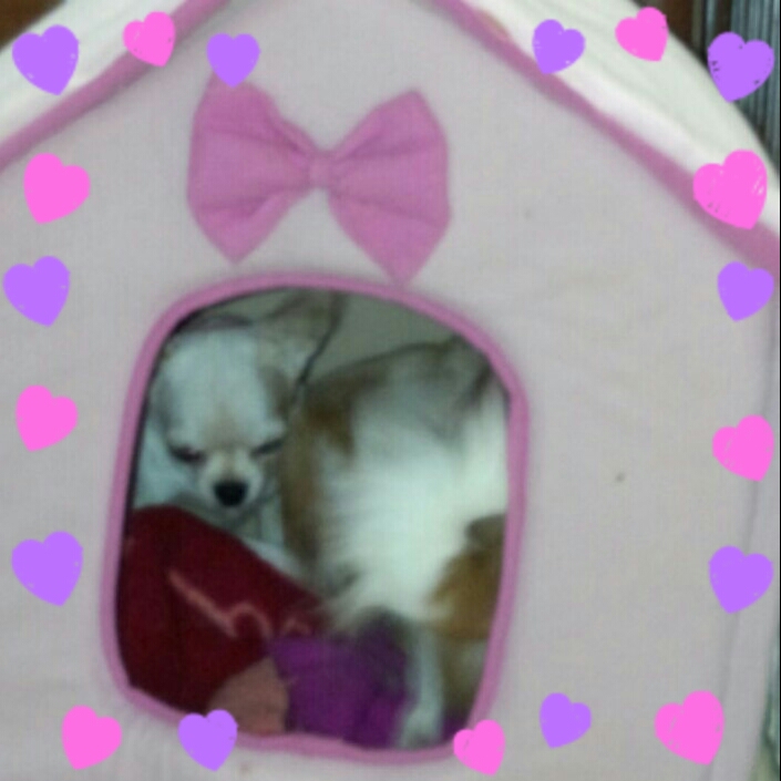 2012-11-04_17.18.55.jpg