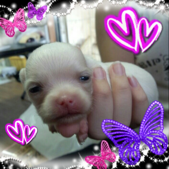 2012-11-05_14.05.36.jpg