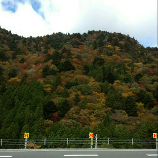2012-11-10_16.41.47.jpg