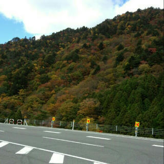 2012-11-10_16.43.03.jpg