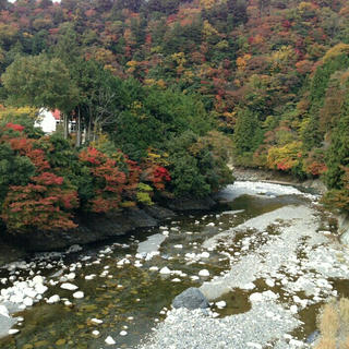 2012-11-10_21.18.16.jpg