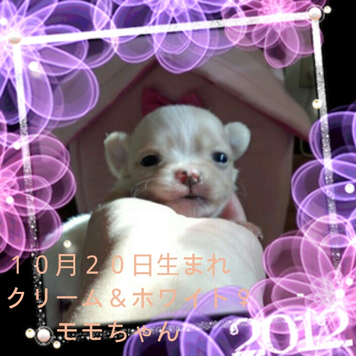 2012-11-13_13.02.01.jpg