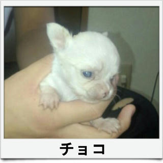 2012-11-17_11.08.30.jpg