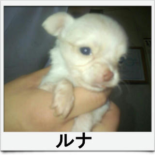 2012-11-17_11.06.22.jpg