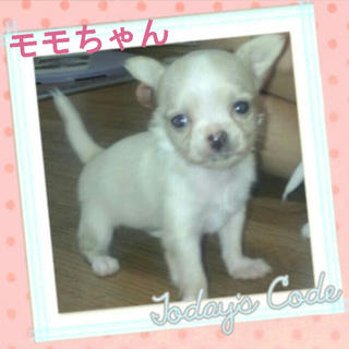 2012-11-23_10.57.04.jpg