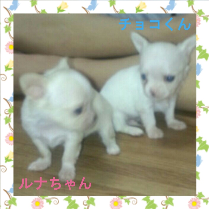 2012-11-23_10.59.22.jpg