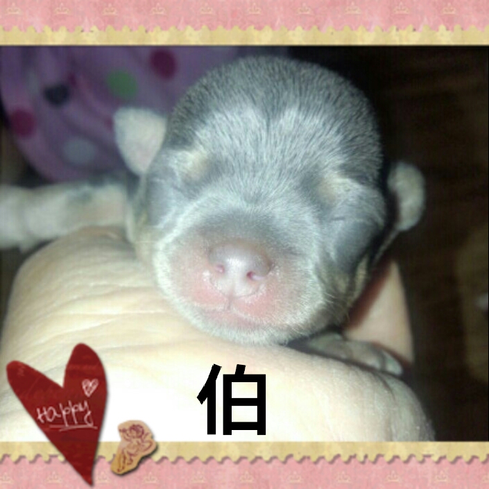 2012-11-17_10.48.08.jpg