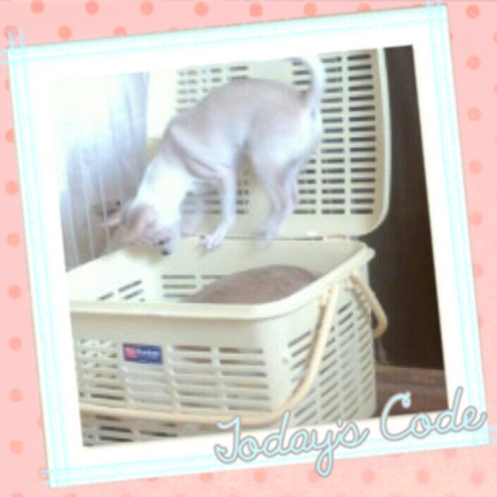 2012-11-30_12.16.20.jpg