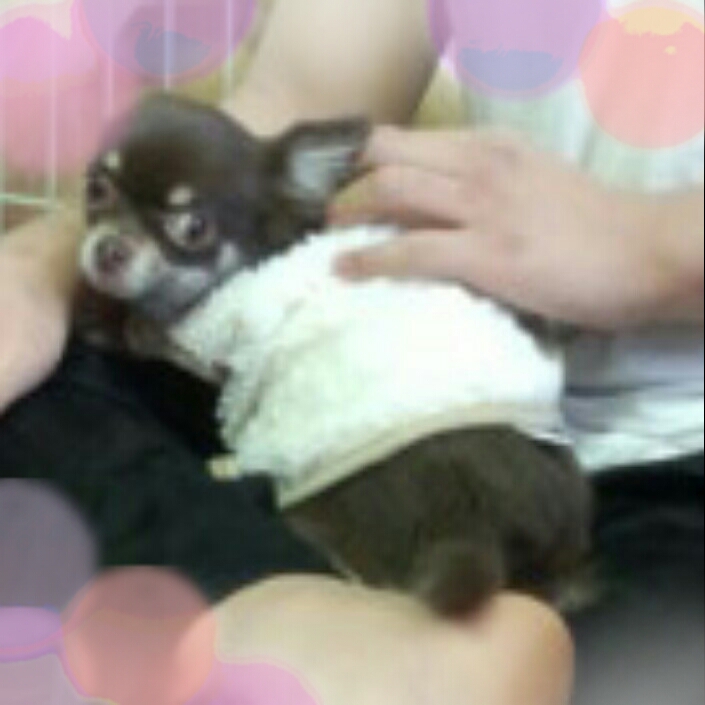 2012-12-02_14.19.24.jpg
