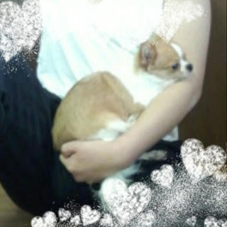 2012-12-02_14.22.51.jpg