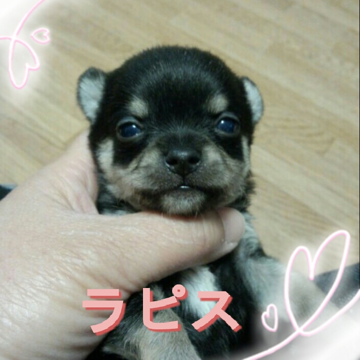 2013-01-05_22.24.20.jpg