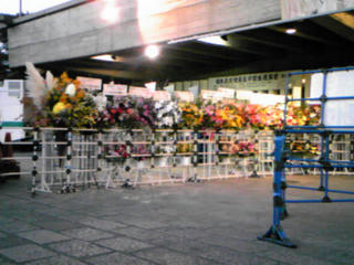 SH350205.JPG