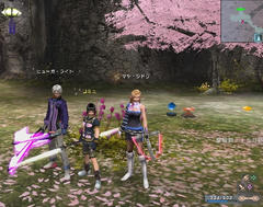 psu20081122_001657_009.jpg