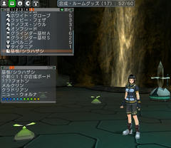 psu20081129_013738_000.jpg