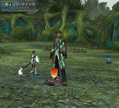 psu20090317_211417_001.jpg