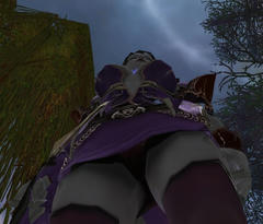 2010060802.jpg