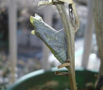 0411-6.jpg
