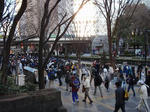 P2170006.jpg