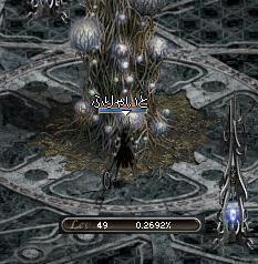 lv49.JPG