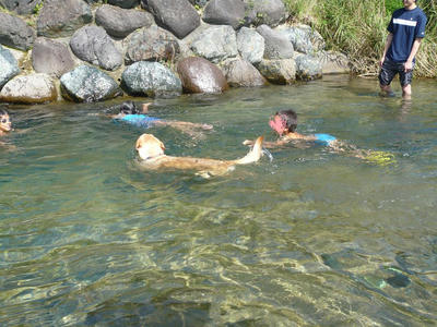 kawa1-2009.jpg