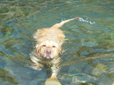 kawa3-2009.jpg