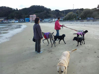 shizuoka-6.jpg