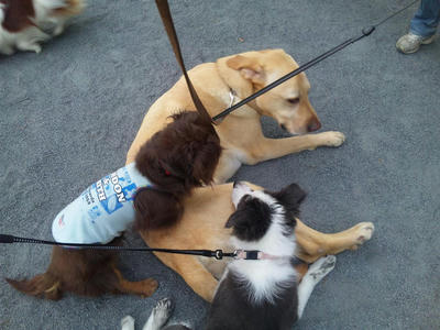 blog11.05.11.jpg