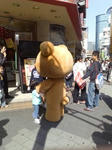 kuma.jpg