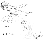 12.gif