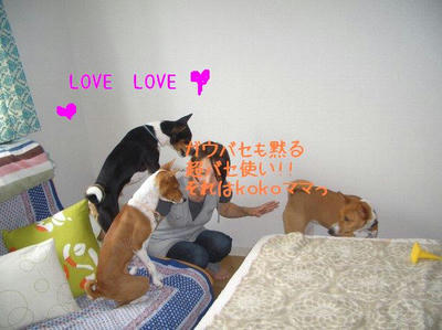 10.JPG