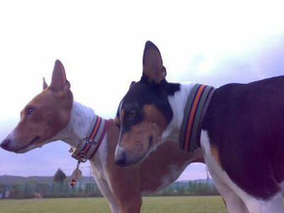 20070006.jpg