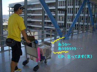 haneda2.JPG