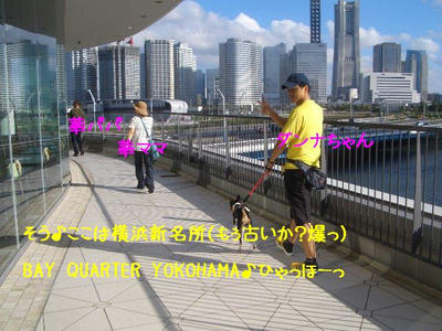yokohama1.JPG