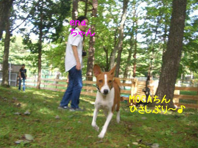 kagetu4.JPG