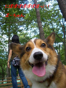 kagetu5.JPG