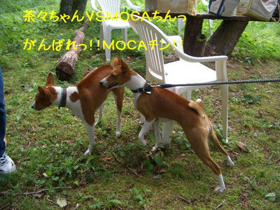 kagetu6.JPG