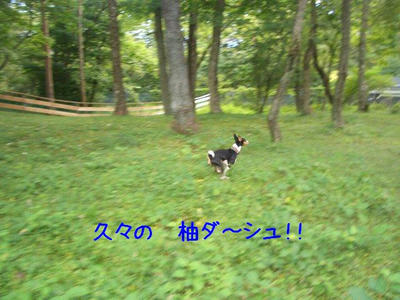 kagetu8.JPG