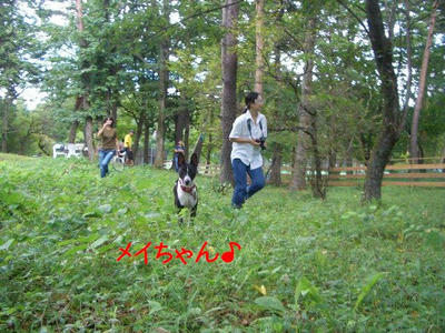 kagetu9.JPG