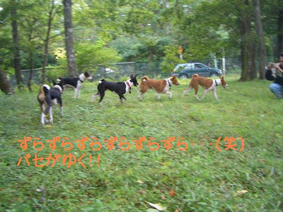 kagetu10.JPG