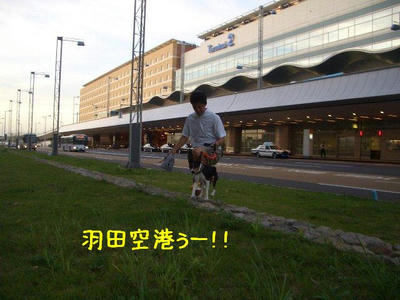 kagetu11.JPG