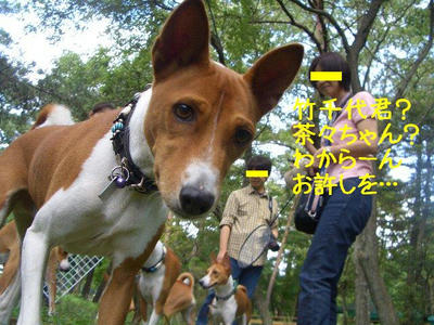 kagetu14.JPG