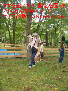 kagetu15.JPG
