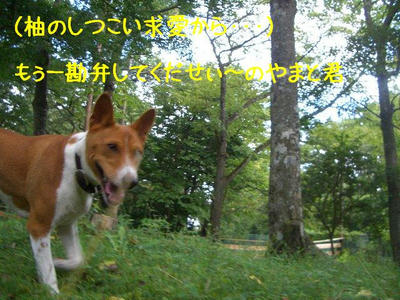 kagetu16.JPG