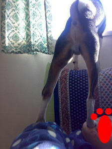 20080106.jpg