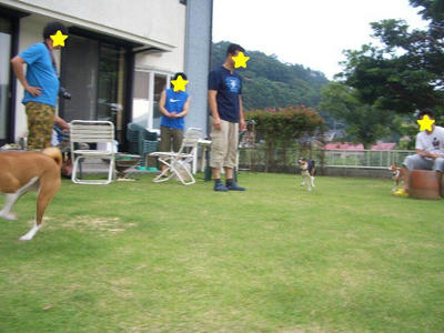 6b676119.jpeg