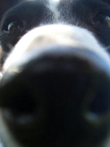 8327f8adjpeg