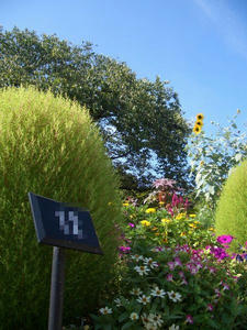 park1.jpg